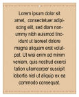 Arizona Vertical Text Rectangle Fawor Tag  3.25x4 
